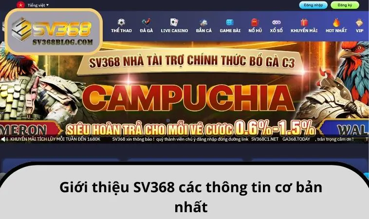 Giới thiệu SV368 các thông tin cơ bản nhất