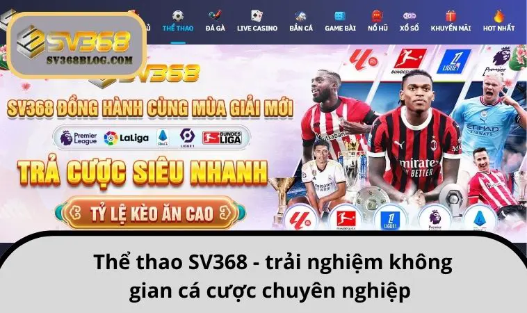 Thể thao SV368 - trải nghiệm không gian cá cược chuyên nghiệp 